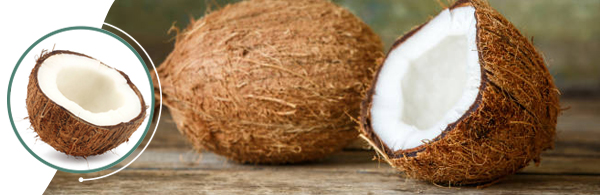 coconut_head coconut_head