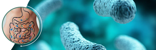 probiotics_head probiotics_head