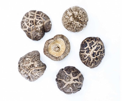 shiitake_hero_400px shiitake_hero_400px