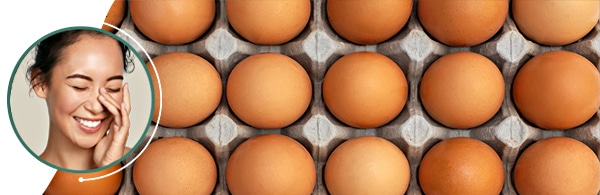 secondary_pages_heads_eggnovo secondary_pages_heads_eggnovo